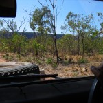leaving Kakadu (2005)