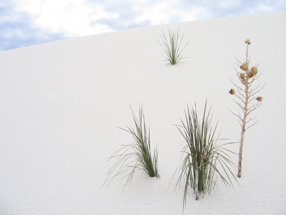 White Sands National Monument (2005)