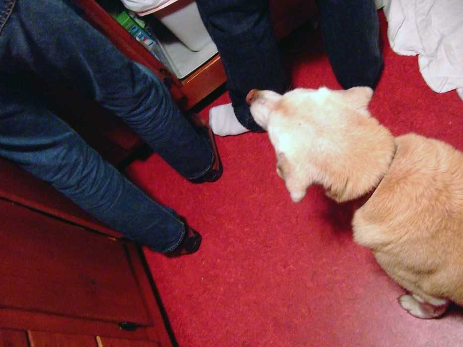 Hallie, a lesson in waiting; Home (2007)