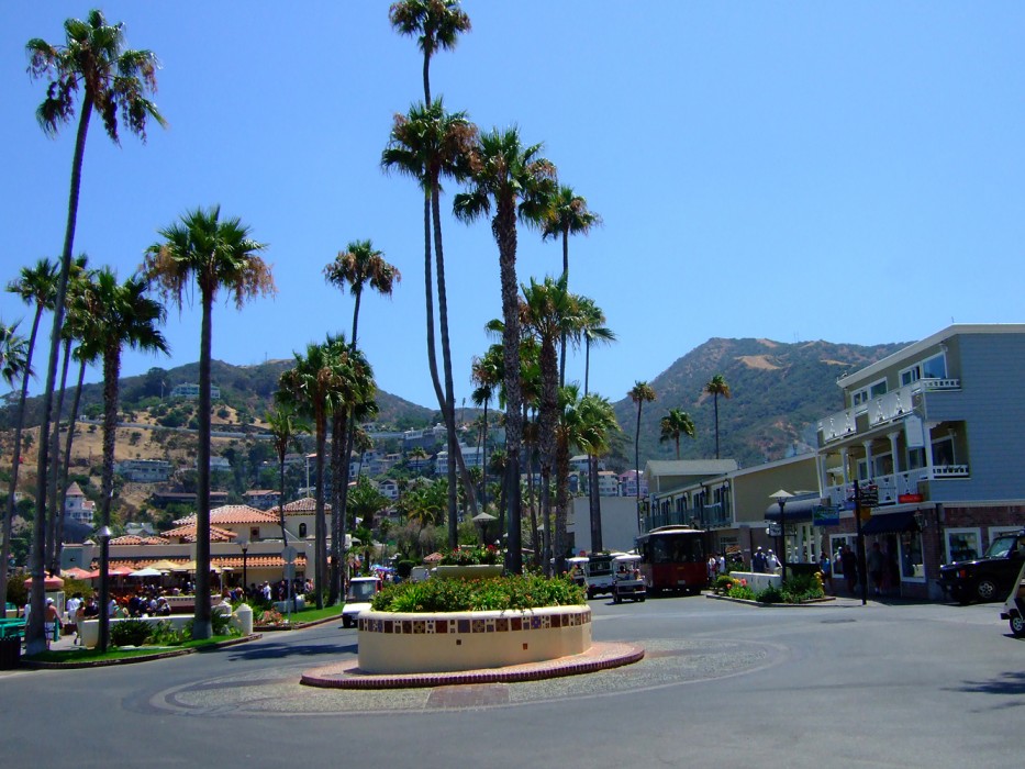 Catalina Island (2008)