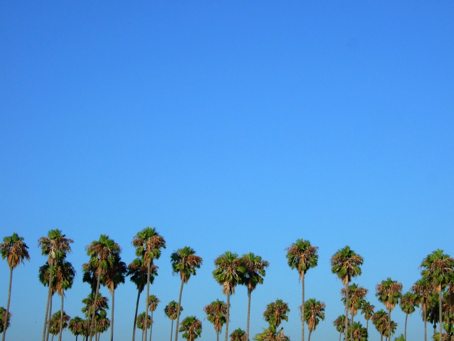 Anywhere Southern California (2008)