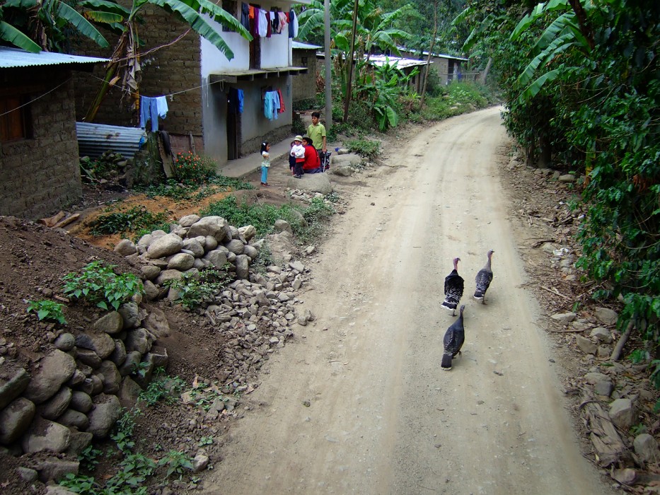road to Cusco (2008)