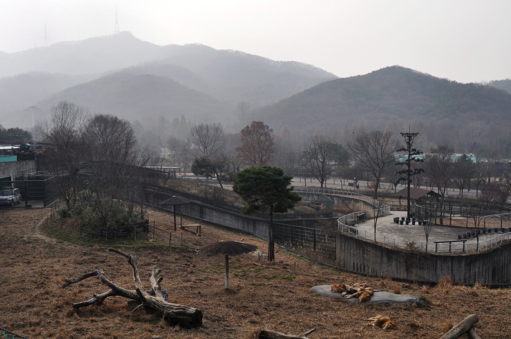 Seoul Grand Park (2009)