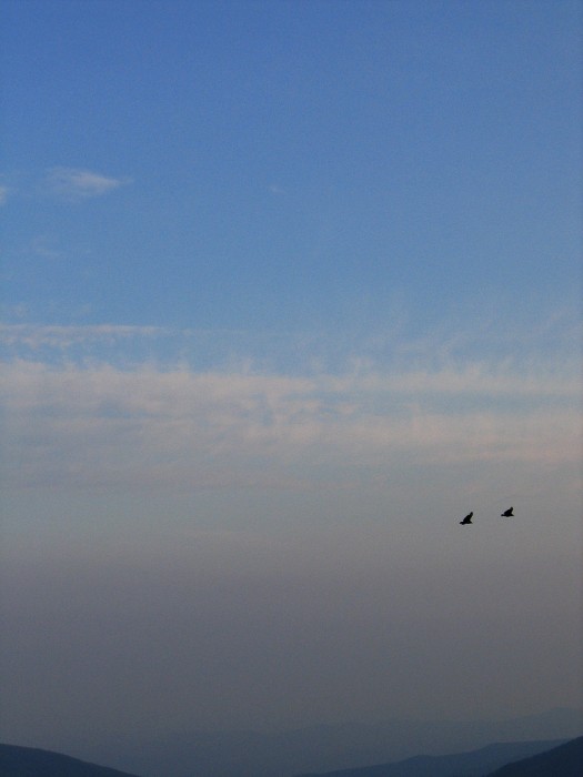 Shenandoah National Park, VA (2005)