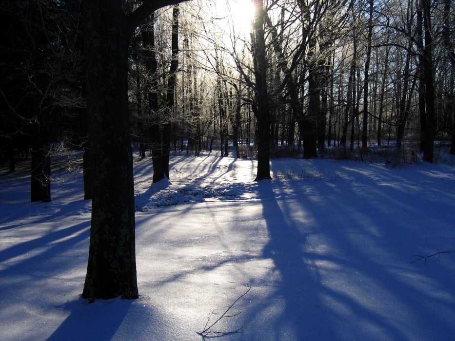 waiting for summer, Salisbury CT (2005)