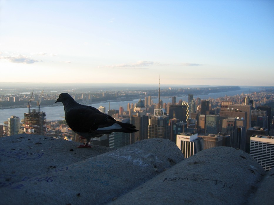 view from the Empire State Building (2006)